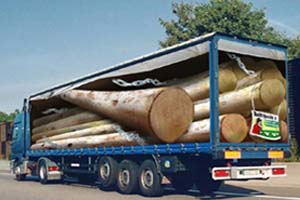 Logs Truck Illusion