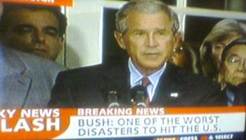 Bush Disaster