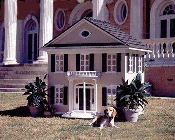 Dog House