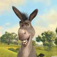 Happy Donkey